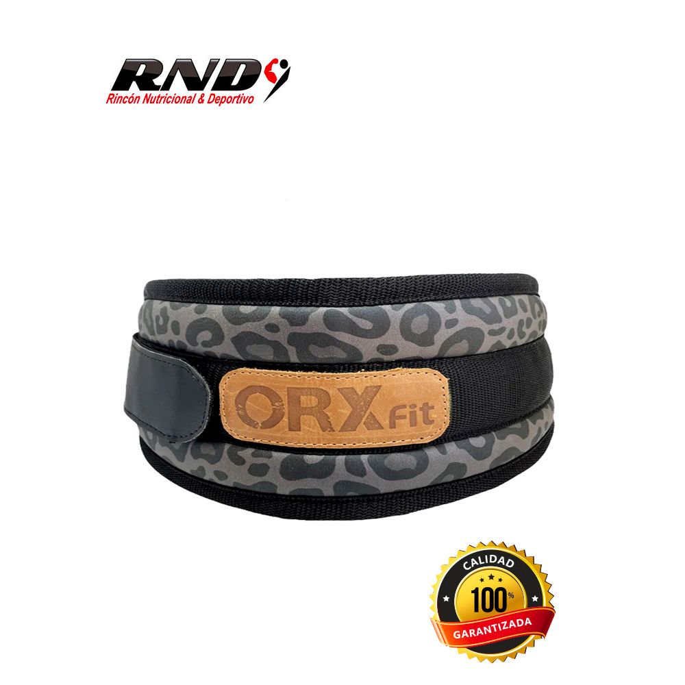 CINTURON (ORX)