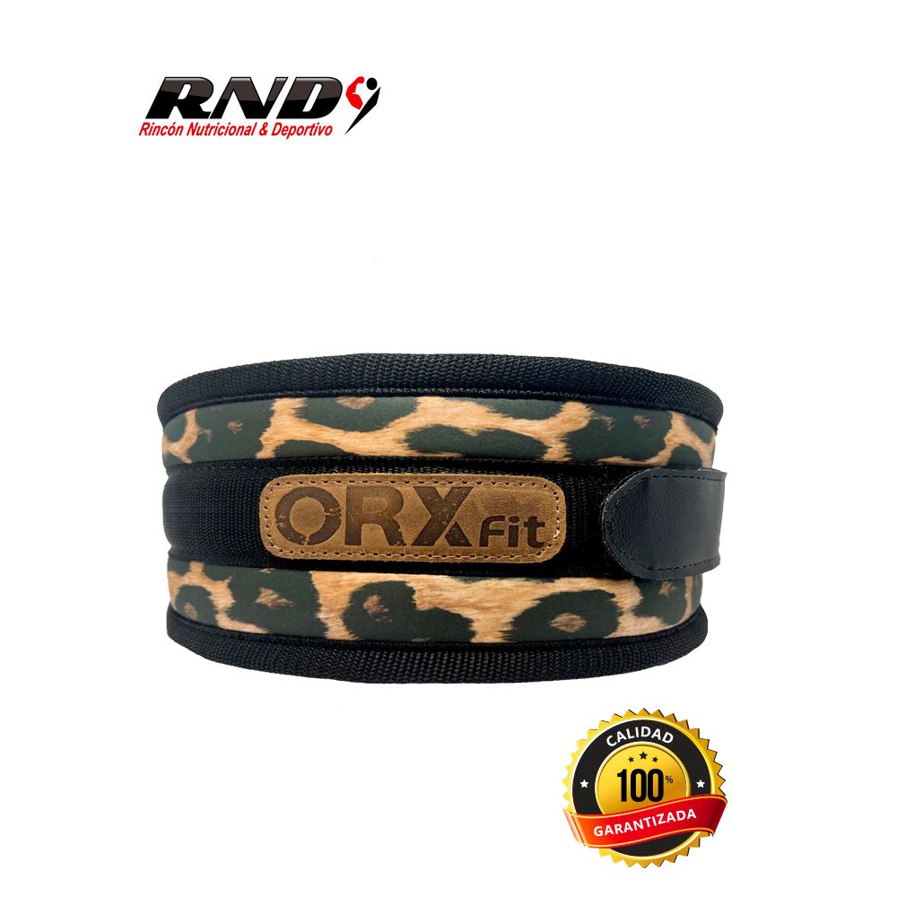 CINTURON (ORX)